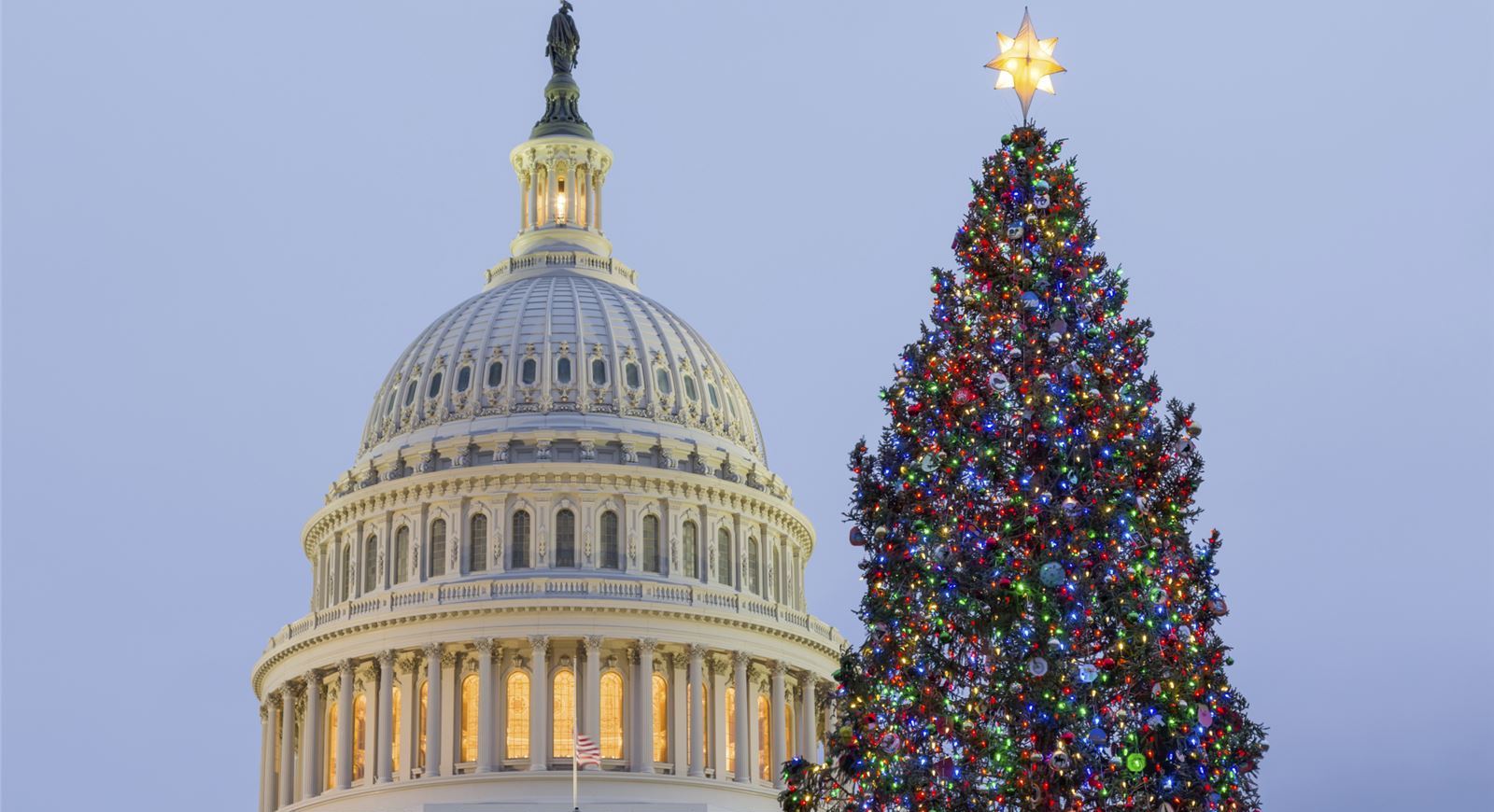 Winter activities in washington dc