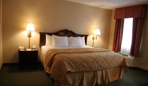 Rooms at Comfort Inn Arlington at Ballston, Virginia 